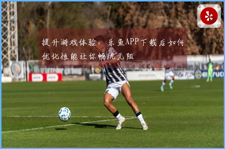 提升游戏体验，乐鱼APP下载后如何优化性能让你畅玩无阻